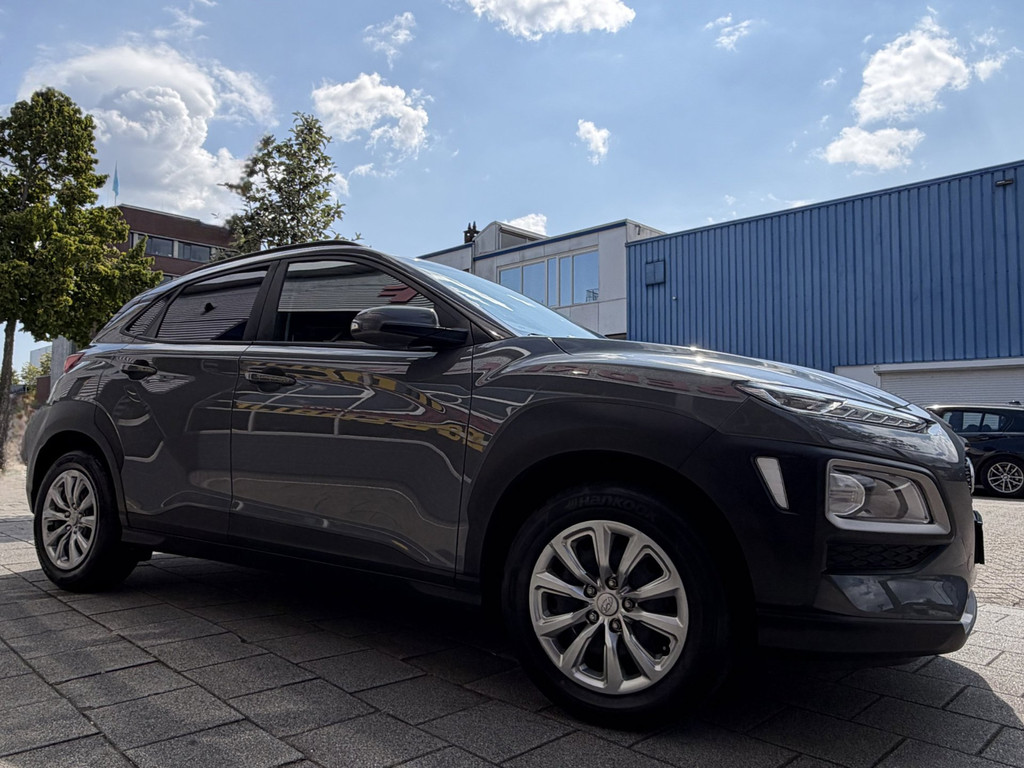 55609928-10.jpg